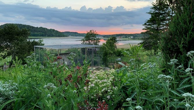 Beautiful view over a garden and the sea in Tjörn.
Emily Bratt - En annan slags trädgård