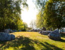 24 stones lies in the formation of a ship surrounded by birch trees. 