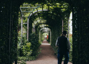 Lång allé med vacker grönska