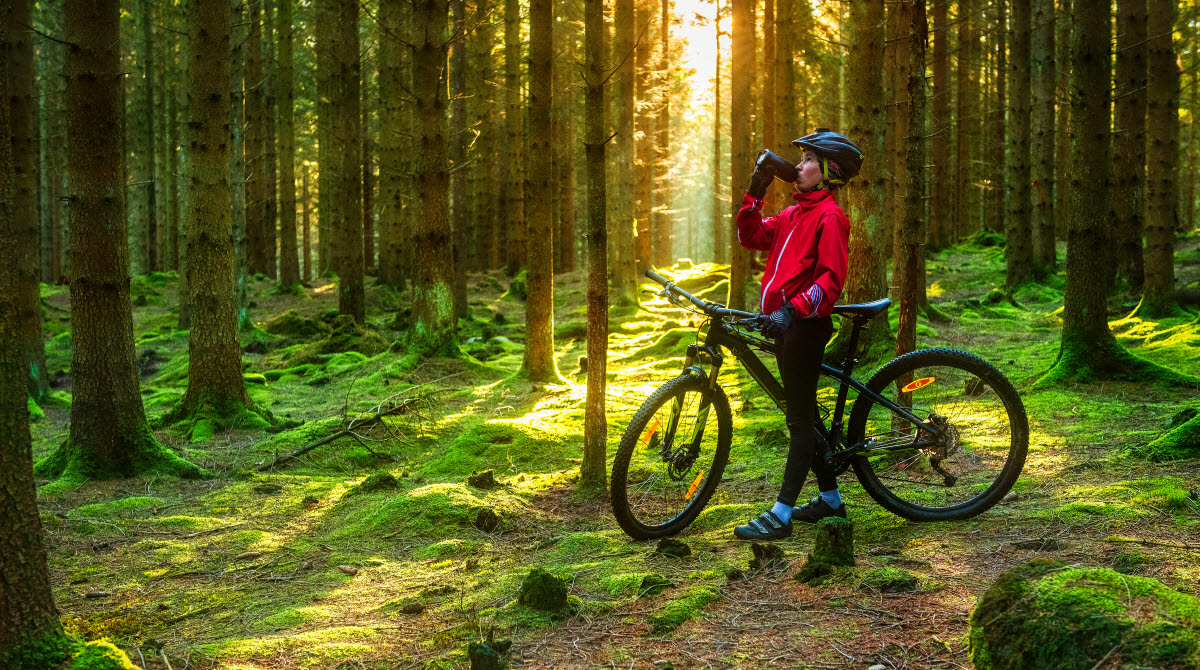 Pojke med MTB-cykel i skogen