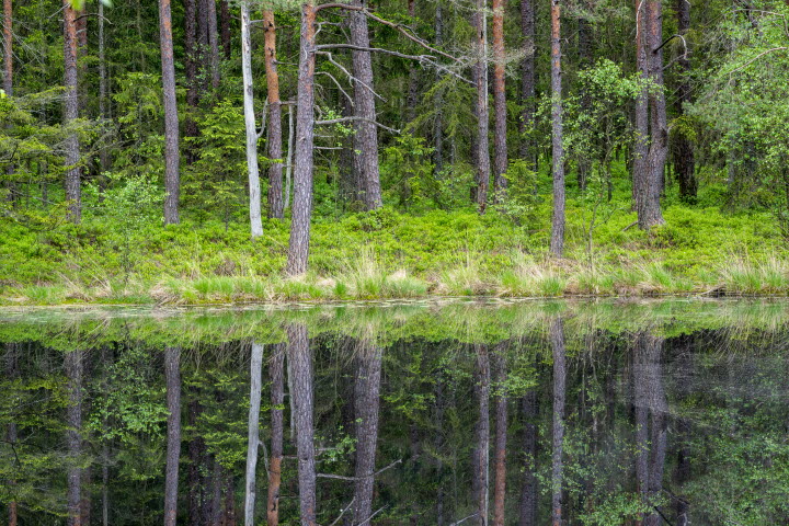 Strömmaleden