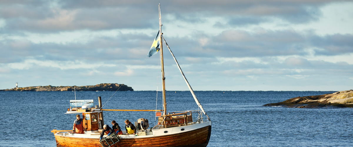 Kastor, Hummer, Hönö