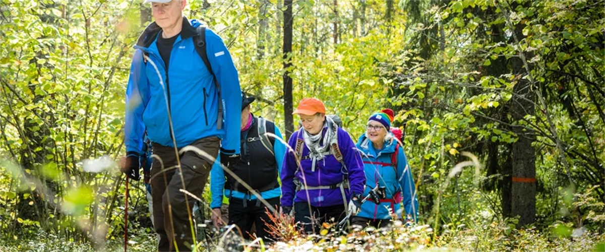 En grupp människor som vandrar i en skog.