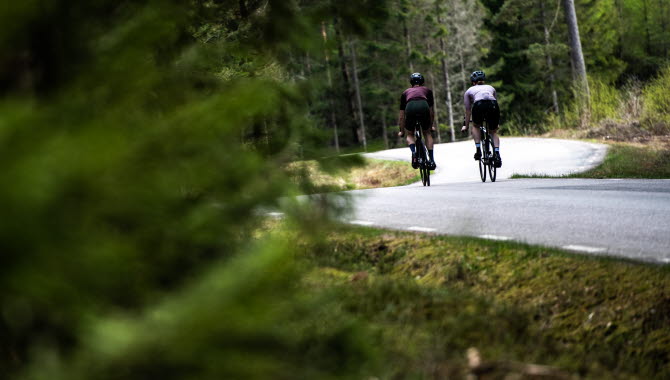 Två personer cyklar på en asfaltsväg. I förgrunden är det mörkgröna granar.