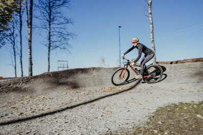 Lassalyckan, Ulricehamn