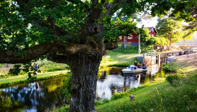 Naturen i Dalsland