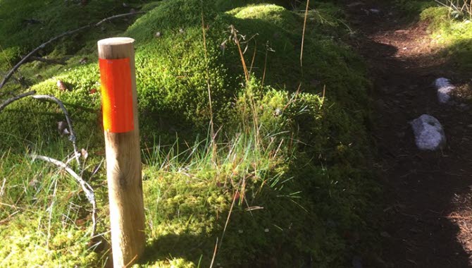 Trail in Ulricehamn.