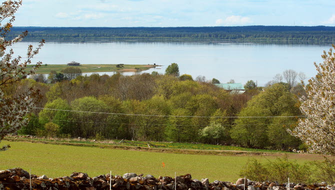 Vy över Billingen - Hornborgasjöns stugby.