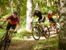 Grupp av människor som cyklar MTB på Billingen.