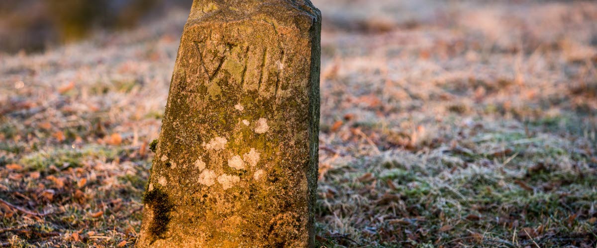 En bild på en mycket gammal stenbumlig med inristning som står på en frostbeklädd mark.