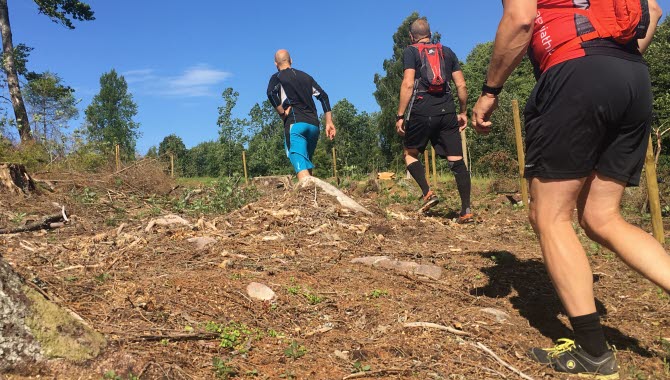 I Ulricehamn finns utmärkta fina trailspår i varierande natur.