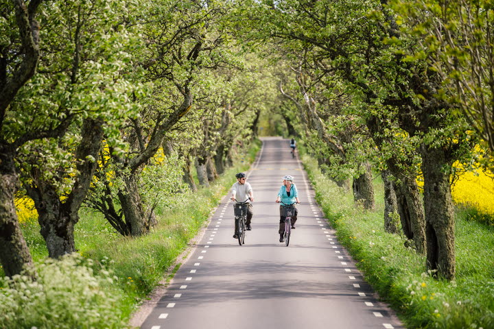 Cykla lilla Oxtrampen