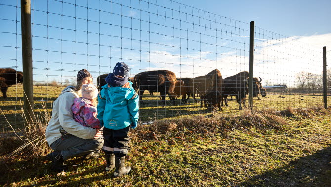 Familj på Wrågården