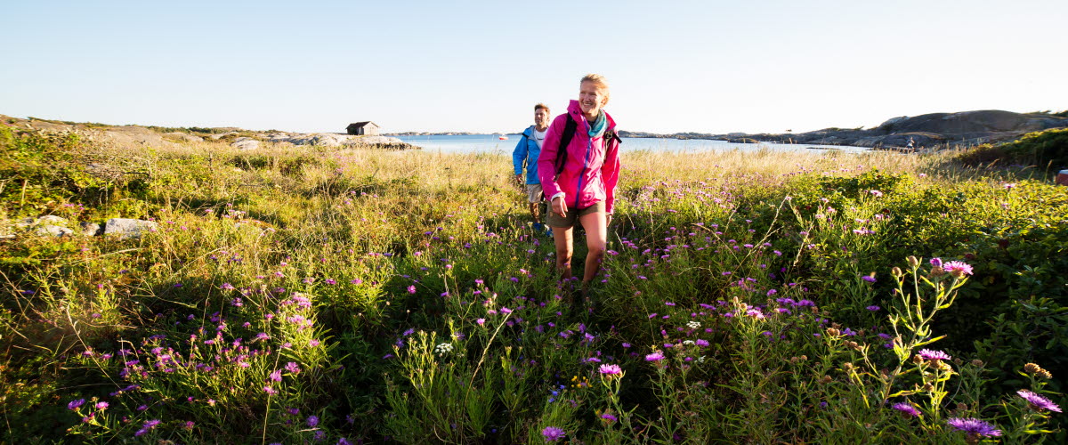 Två personer vandrar över en grön och frodig äng med vilt växande blommor.  Blommorna i förgrunden är lila, i bakgrunden syns havet.