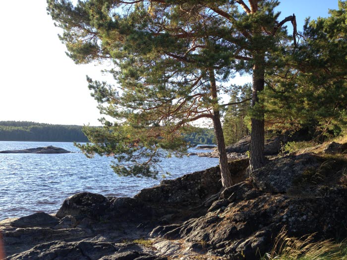 Ivägs FVO