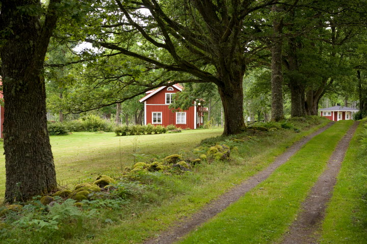 Högsåsen - en del av Tiveden