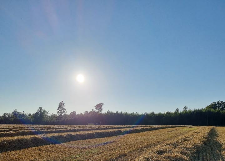 Sol över åker
