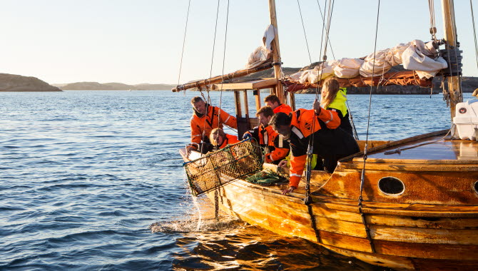 Fishing for Lobster