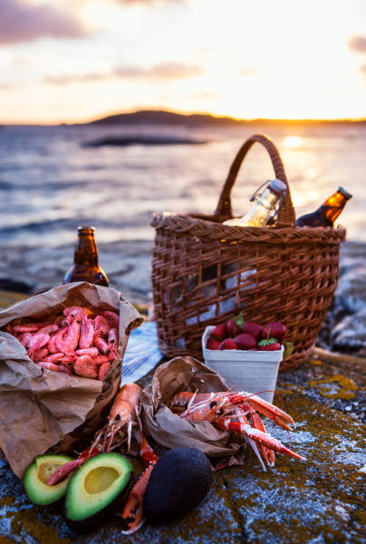 Sunset Picknick- Photo Cred Roger Borgelid.