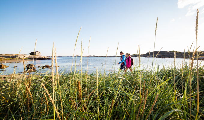 I förgrunden syns vass och högt gräs, I bakgrunden syns två personer som promenerar längst en strand på Sydkoster.