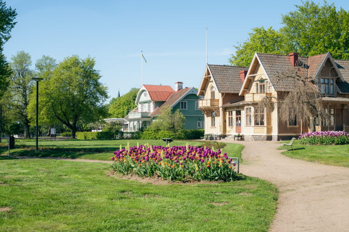 En park med gamla hus