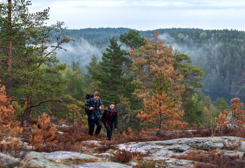 Vandring i Dalsland