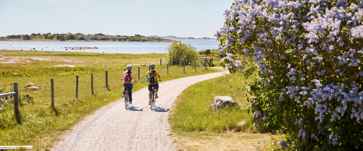 Two people are cycling on an island.