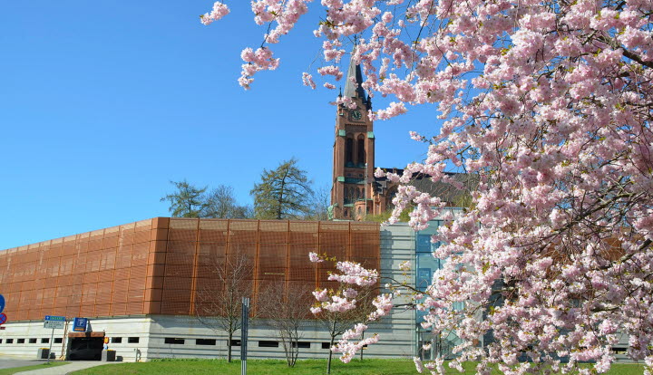 Svenska kyrkan