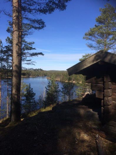 Mickelskogen-Vaktarekullen