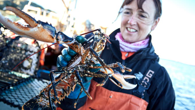 Kvinna håller en hummer.