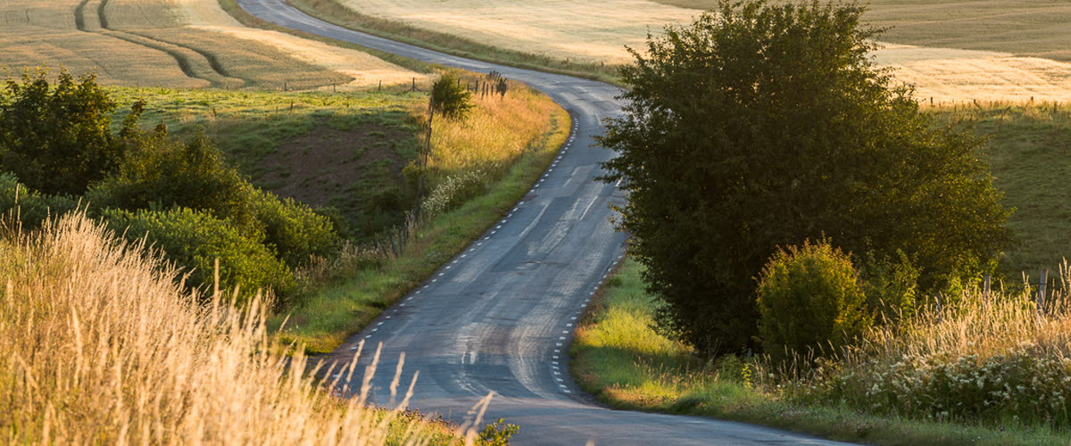En bild på en slingrande väg genom böljande landskap som går i  grönt och gult. Asfalten är blöt och morgondimman ligger över fälten.