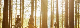 Bicyclists in the forest