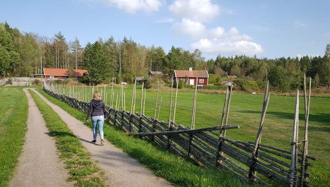 Vandrar vid Sandbäcken på Torsö.