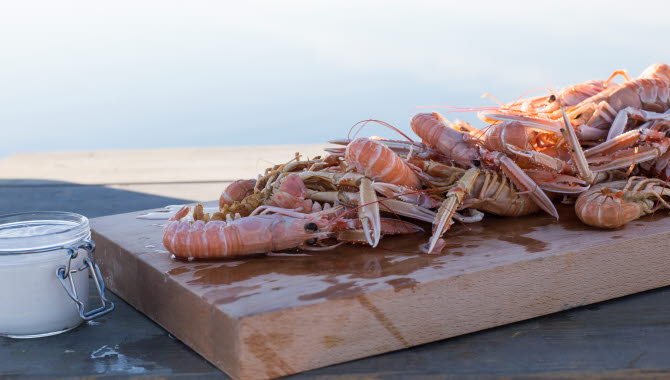 Shellfish at TanumStrand. 