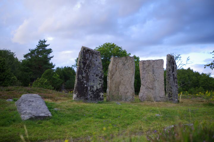 Falkerödsleden