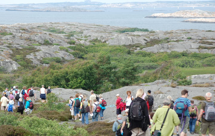 Rörö Naturreservat