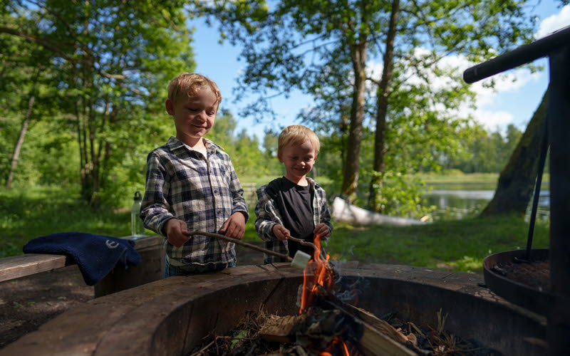 Barn som grillar marsmallows