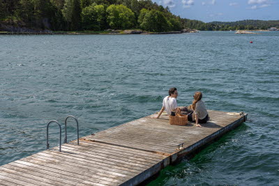 Hällesdalens Gård, Svenshögen