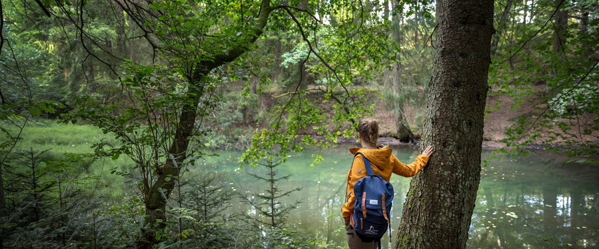 En kvinna med gul jacka och blå ryggsäck blickar ut över en liten skogssjö omgiven av den trolska skogen.