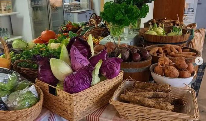 Gunnagård grönsaker från deras Instagram