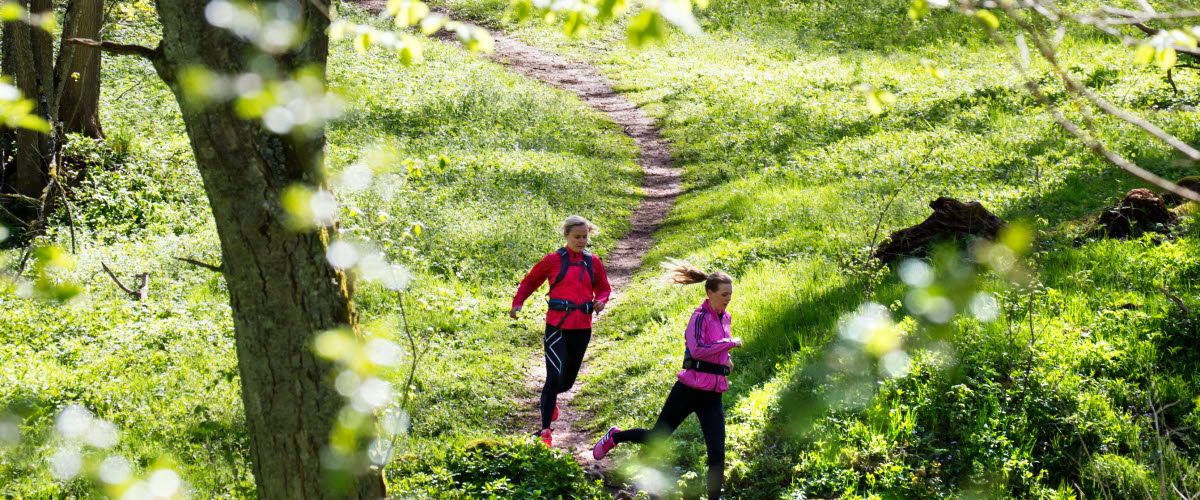 Två kvinnor springer på en stig genom lövskogen.