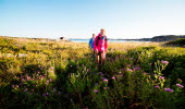 Två personer vandrar över en grön och frodig äng med vilt växande blommor.  Blommorna i förgrunden är lila, i bakgrunden syns havet.