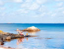 It's a sunny summer's day and a family with kids are fishing crabs from a cliff at Rörvid, South Koster. 