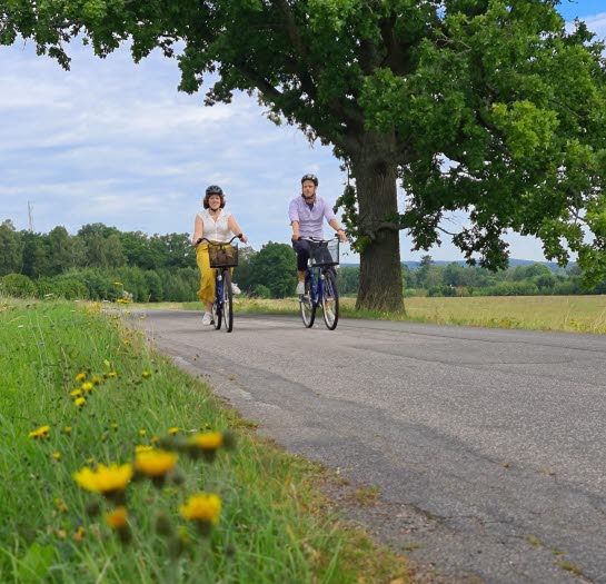 Två personer cyklar på en landsväg en varm sommardag.