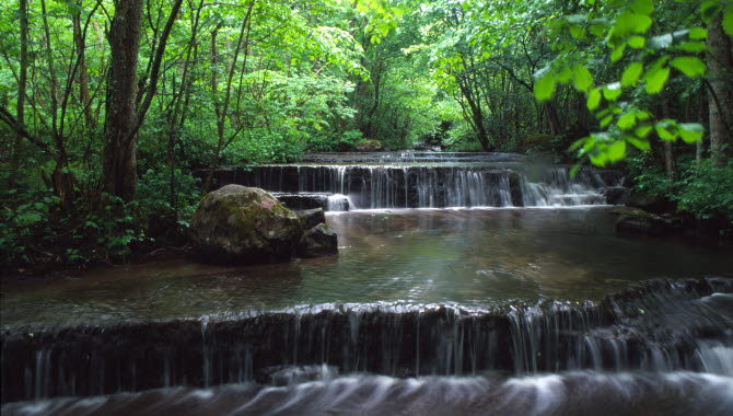 Two low waterfalls surrounded by bright green trees.