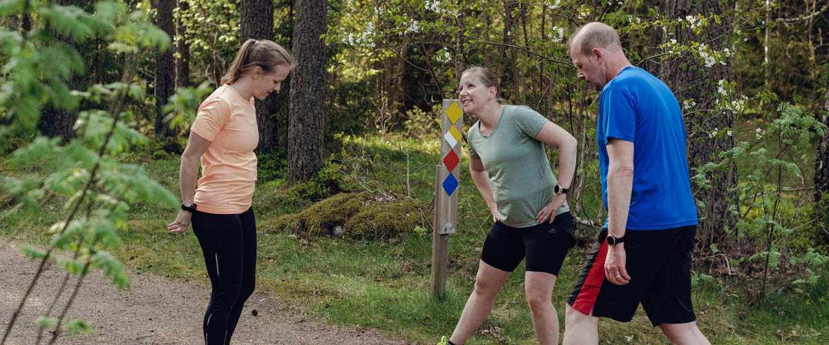 Three runners standing in the woods talking to eachother.