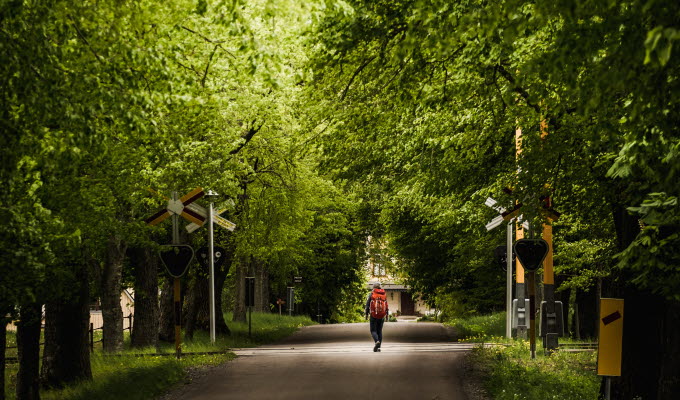 Vandra på Kinnekulle