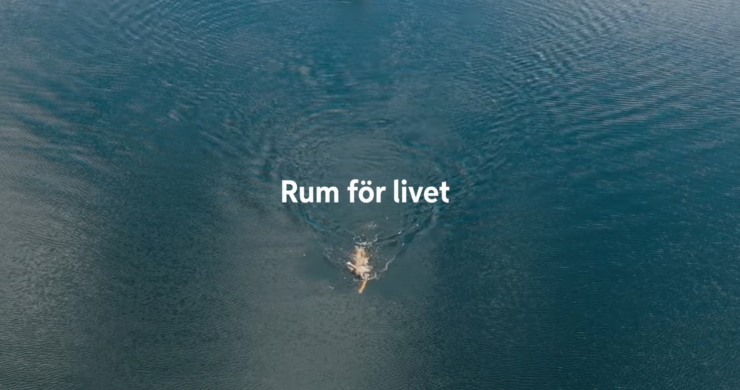 kvinna som simmar i sjö