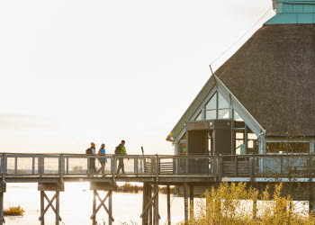 Vandring vid Hornborgasjön