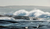 Stormy Koster Sea. 